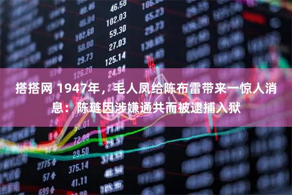 搭搭网 1947年,毛人凤给陈布雷带来一惊人消息:陈琏因涉嫌通共而被逮捕入狱
