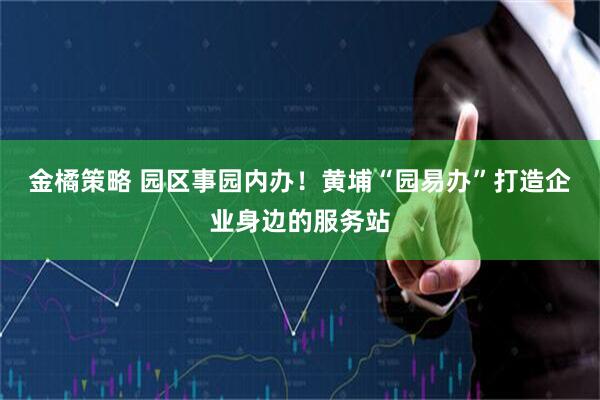 金橘策略 园区事园内办！黄埔“园易办”打造企业身边的服务站